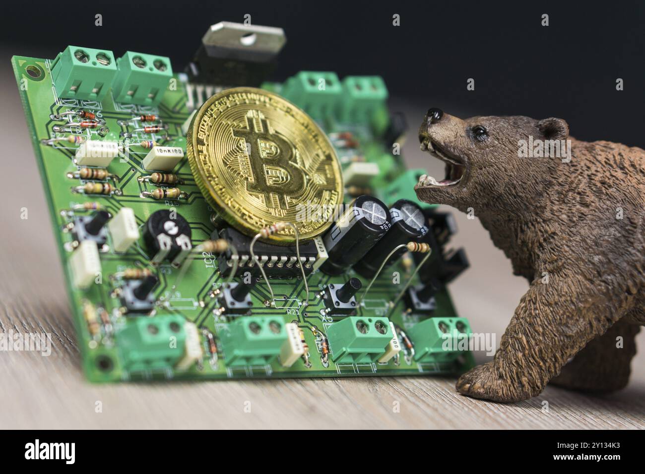 Foto di Bitcoin Bitcoin o in contanti sul circuito elettronico Foto Stock