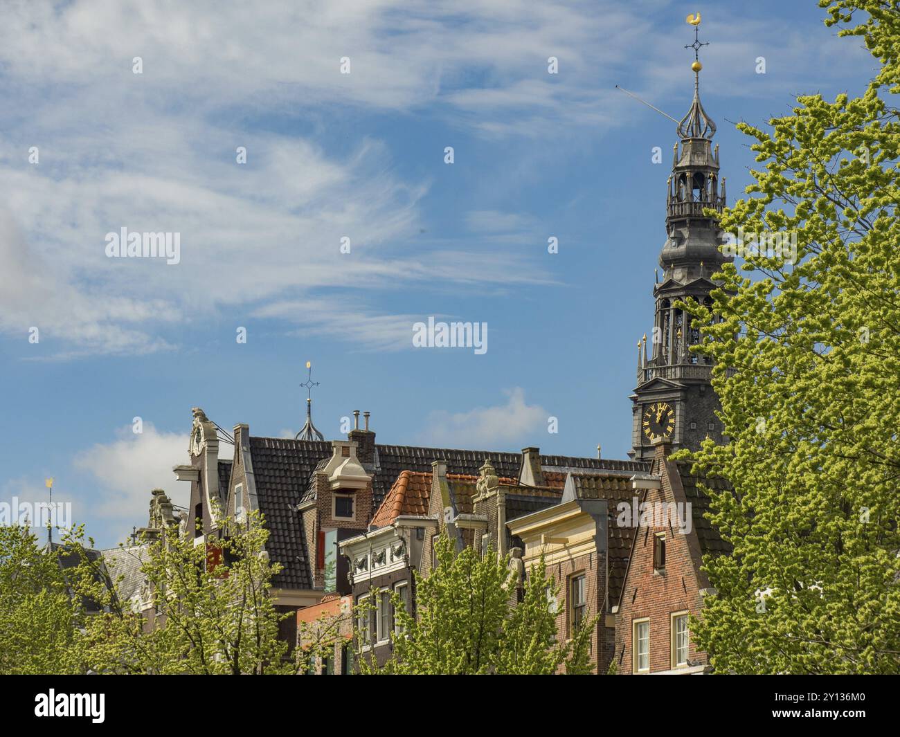 Una torre di chiesa e tetti di vecchi edifici si innalzano sopra alberi verdi in un cielo blu, Amsterdam, Paesi Bassi Foto Stock