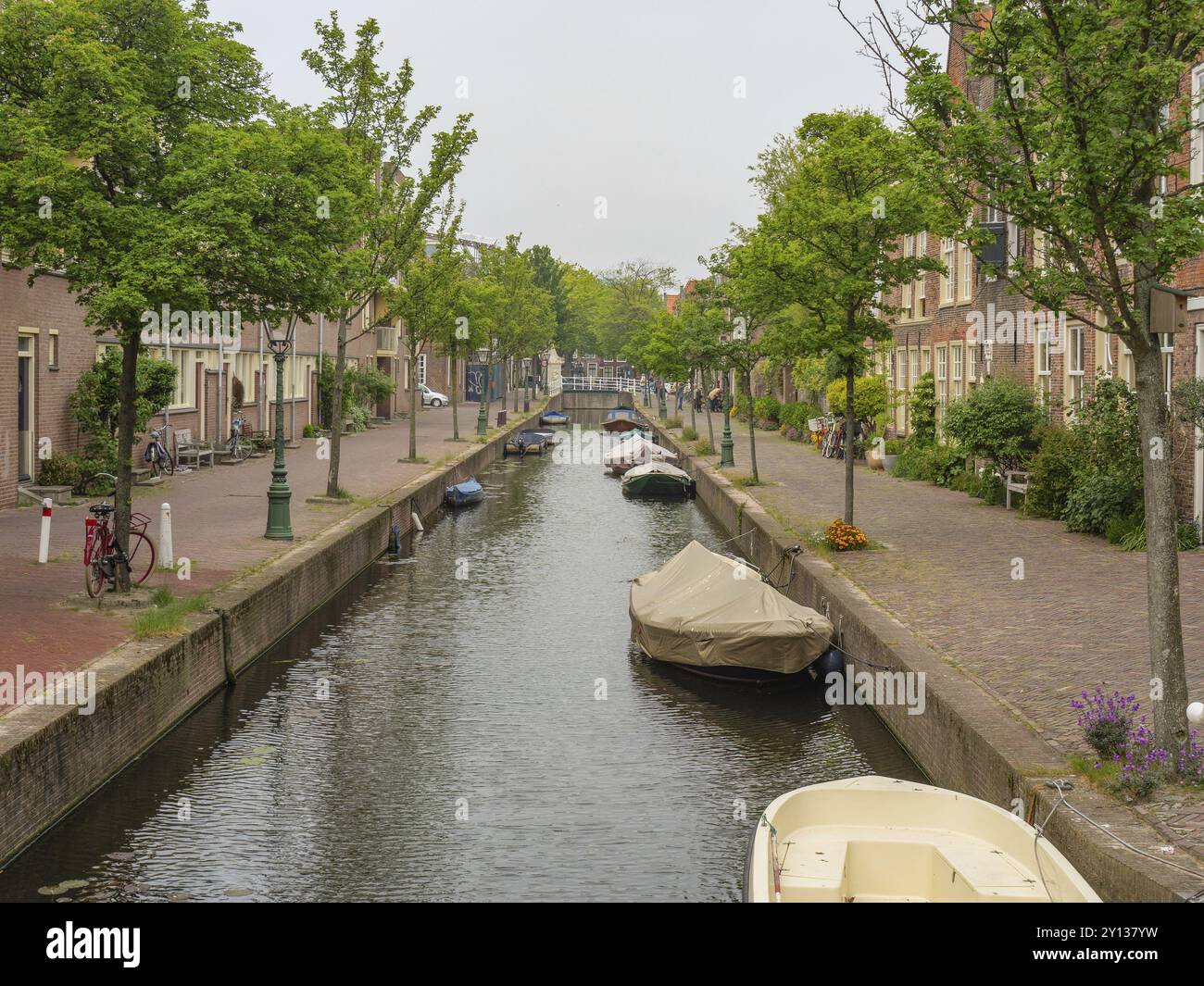 Vista tranquilla di un canale con edifici storici circostanti, barche in acqua e alberi lungo la riva, Leida, Paesi Bassi Foto Stock