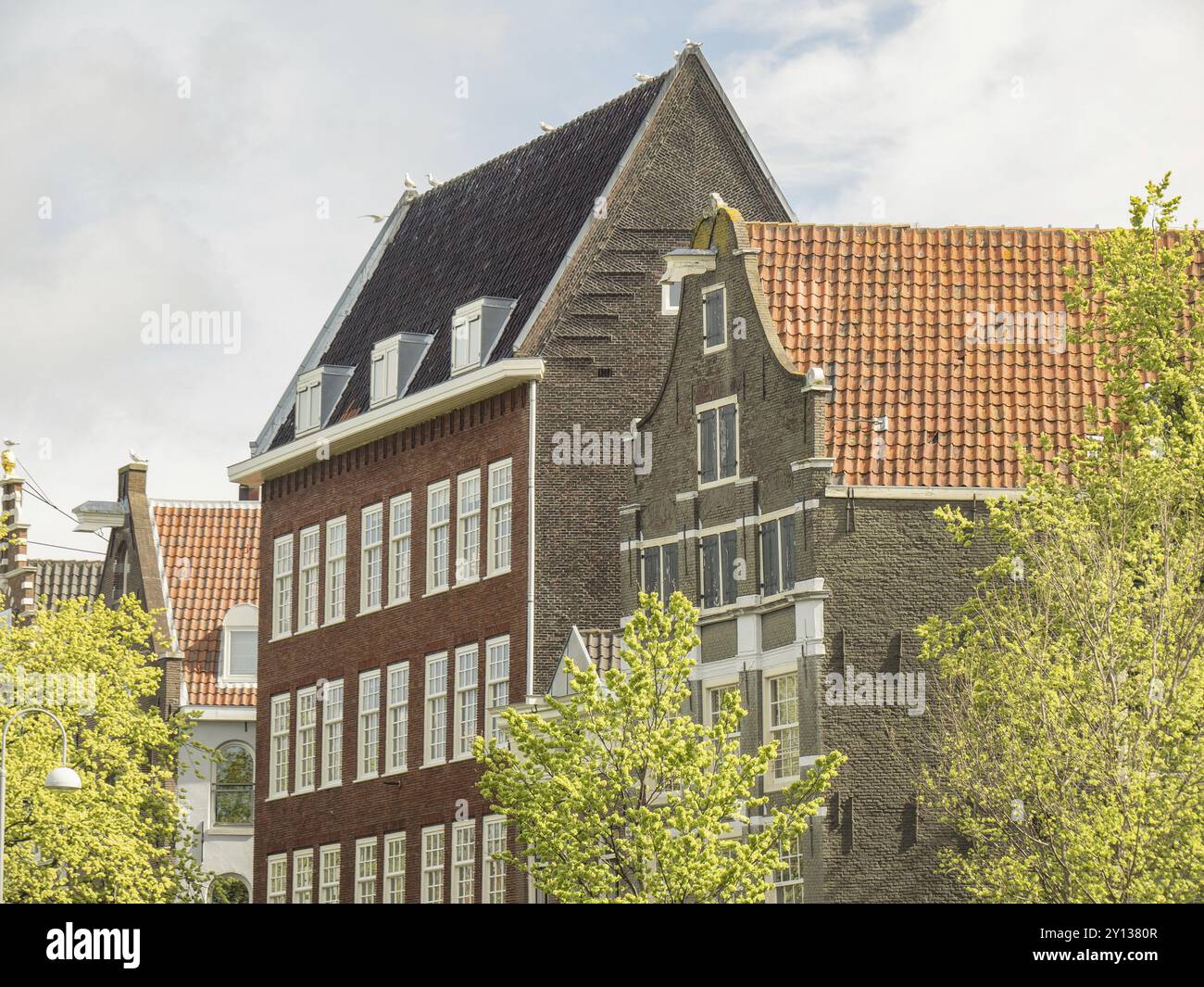 Diversi edifici con diversi tetti piastrellati e facciate sotto un cielo blu, amsterdam, paesi bassi Foto Stock