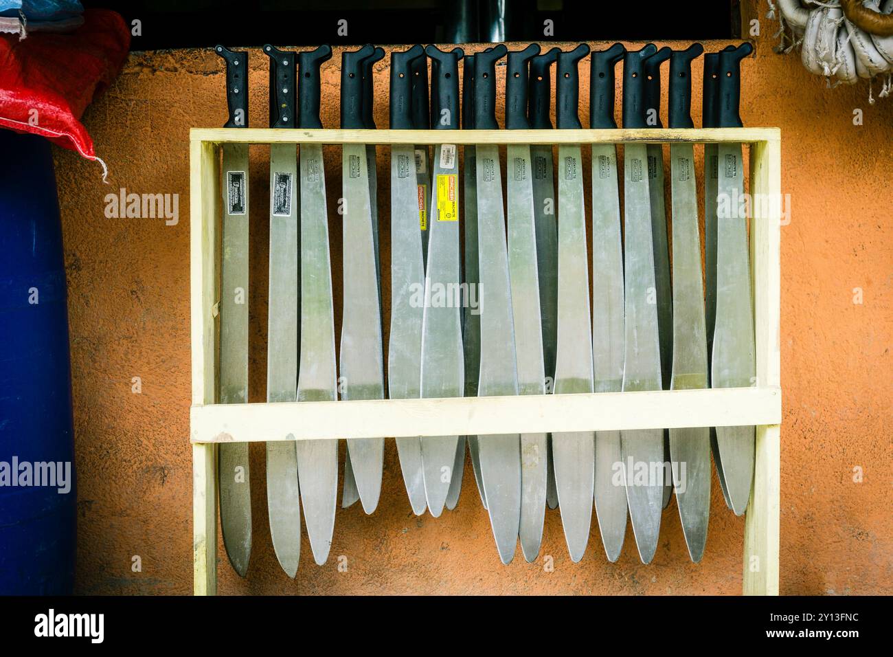 Machetes, la Taña, zona di Reyna, dipartimento di Uspantan, Guatemala, America centrale. Foto Stock