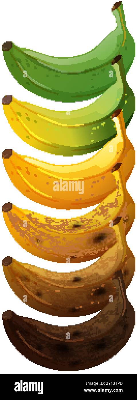 Le banane passano dal verde al marrone Illustrazione Vettoriale