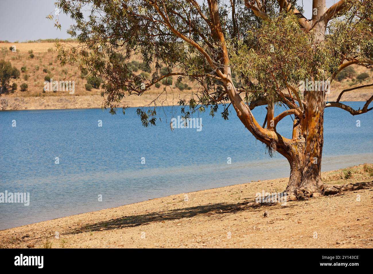 Fiume Guadiana in Estremadura. Secchezza in Spagna. Foto Stock
