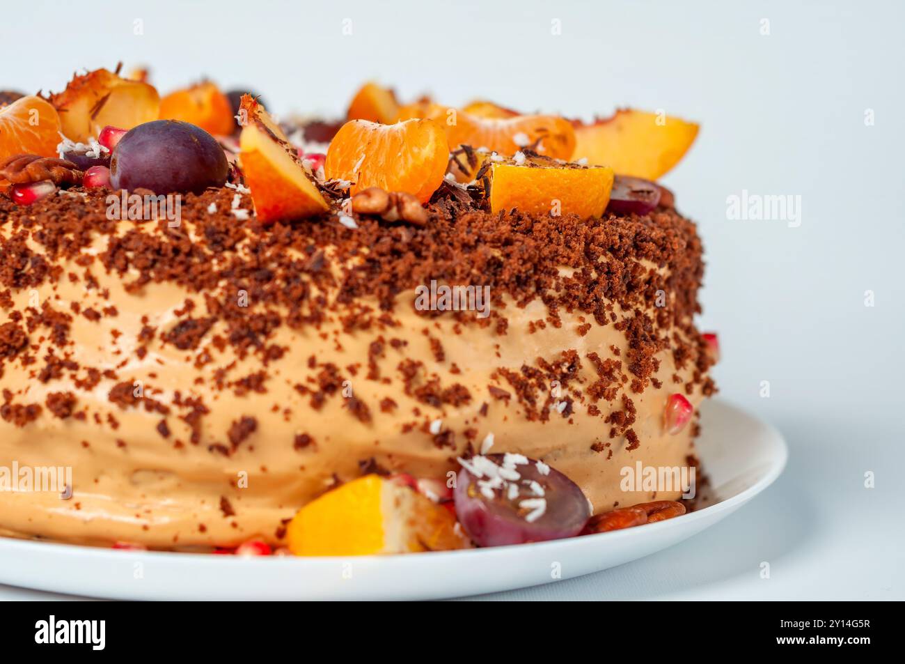 Primo piano di una torta al cioccolato guarnita con mandarini, uva e noci. Foto Stock