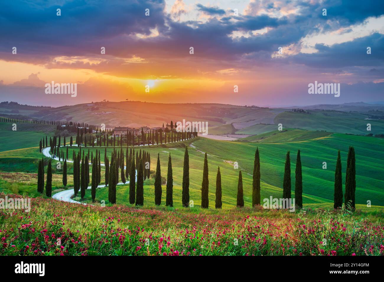 Creta Senese, Toscana. Alba con il tipico paesaggio toscano, file di cipressi nella stagione primaverile - sfondo del viaggio in Italia. Foto Stock