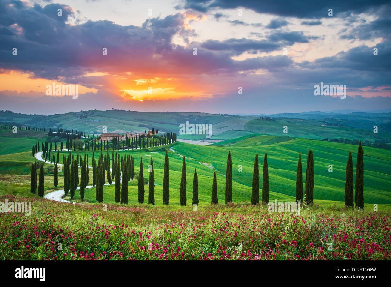 Creta Senese, Toscana. Paesaggio toscano, filari di cipressi in primavera, tramonto colorato - sfondo di viaggio in Italia. Foto Stock