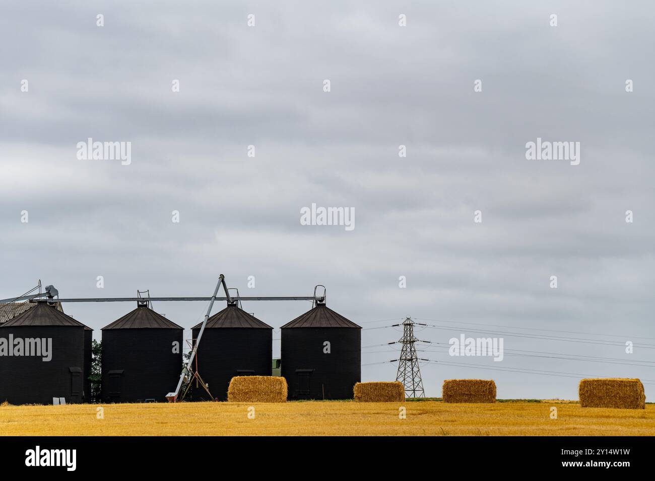 silos per il grano Foto Stock