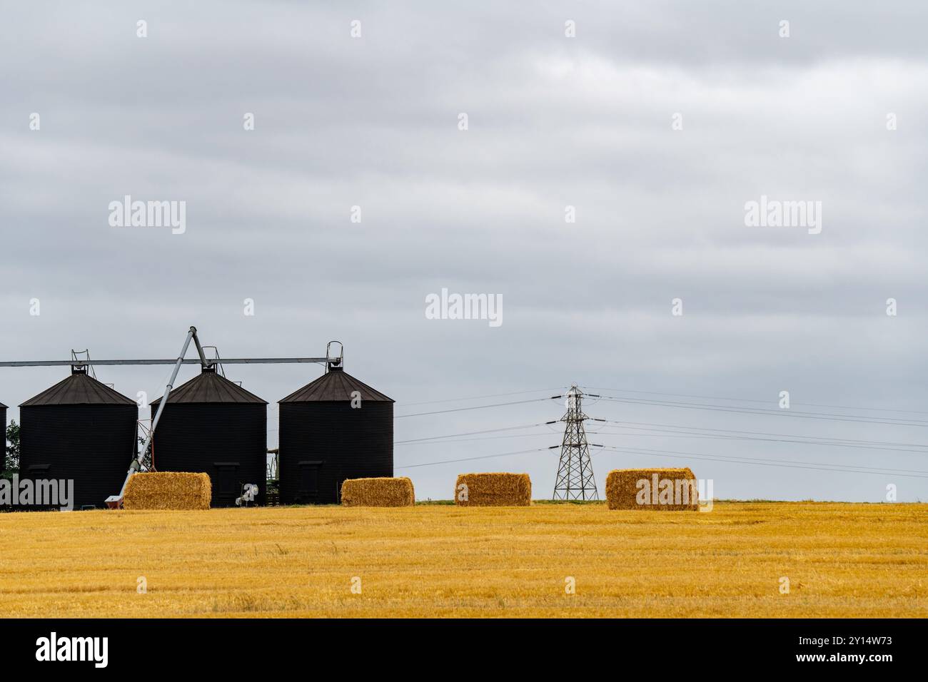 silos per il grano Foto Stock