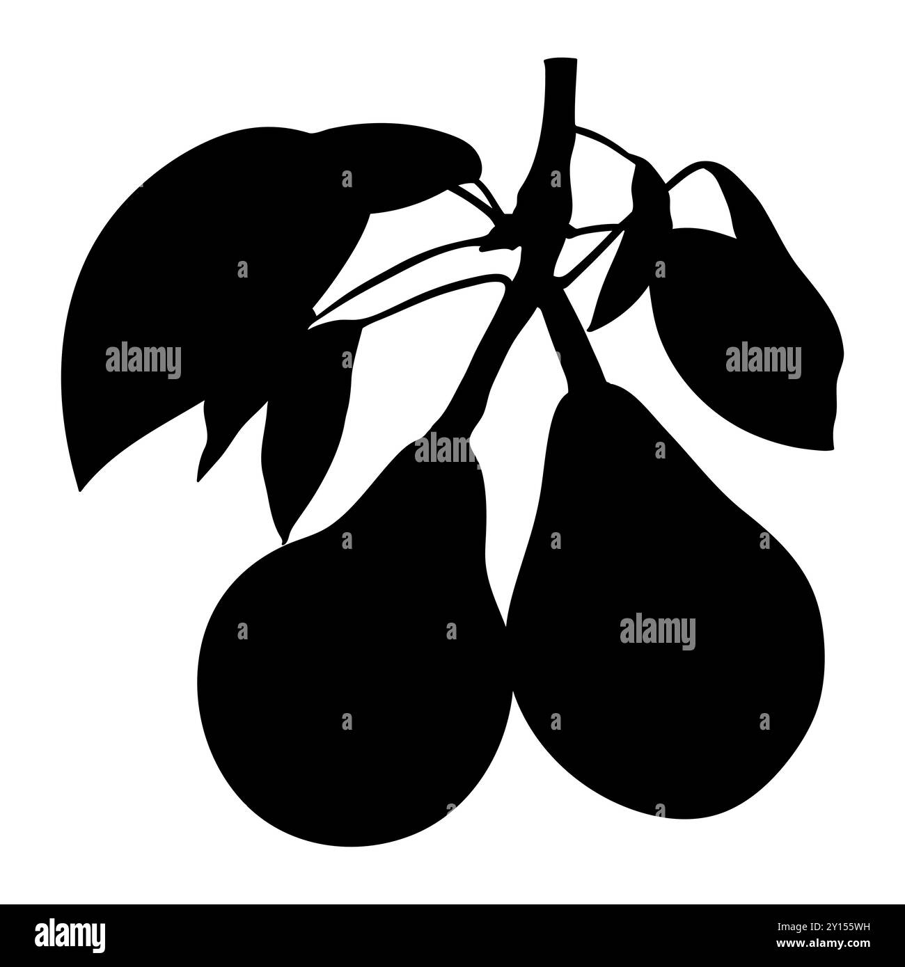 Ramo di pere con frutta e foglie, illustrazione vettoriale. Deliziose silhouette di pere. Alimentazione sana, dieta, cibo biologico, vegano. Illustrazione Vettoriale