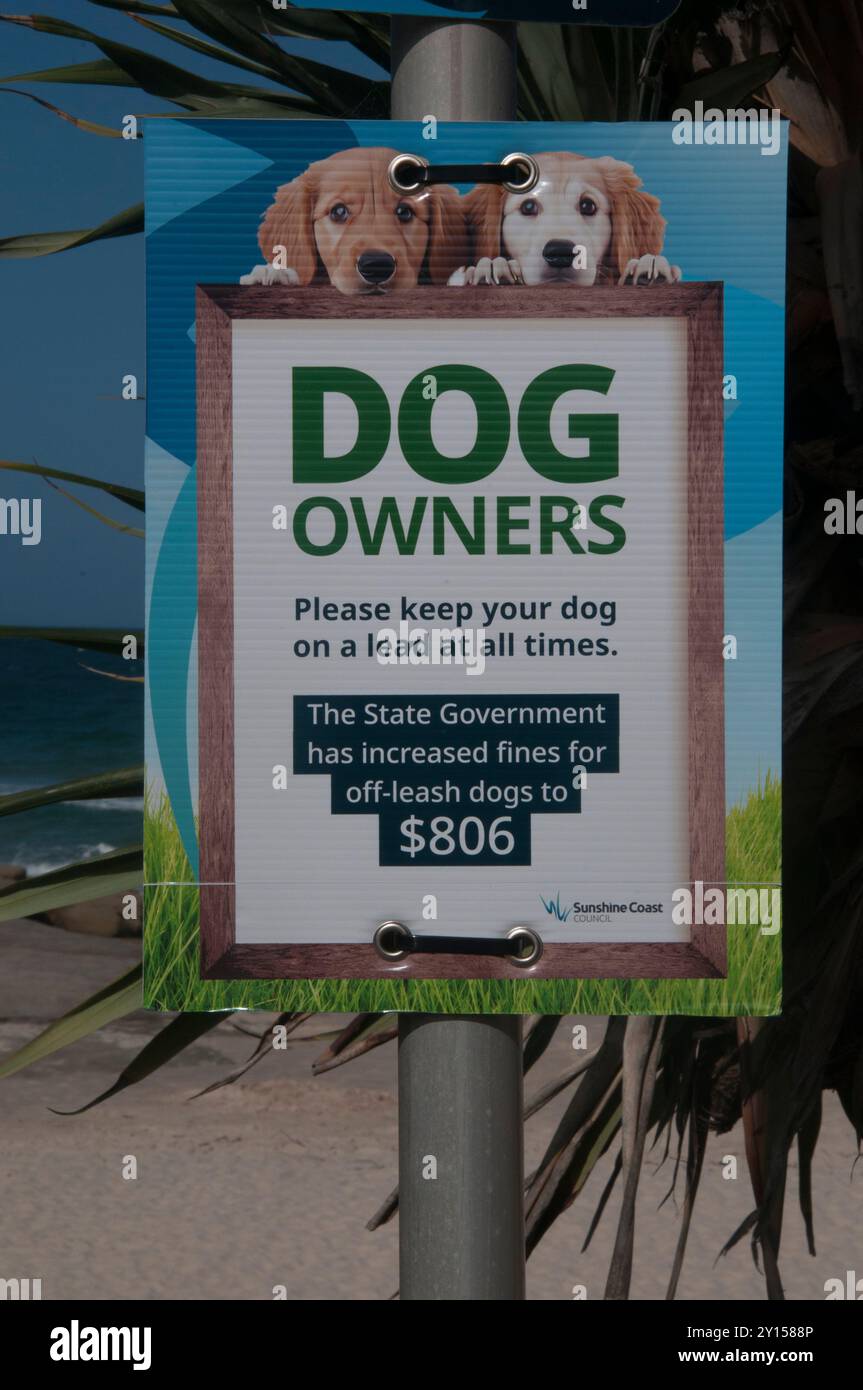 Avvertimenti per i proprietari di cani a Bulcock Beach sulla Sunshine Coast, Queensland, Australia Foto Stock