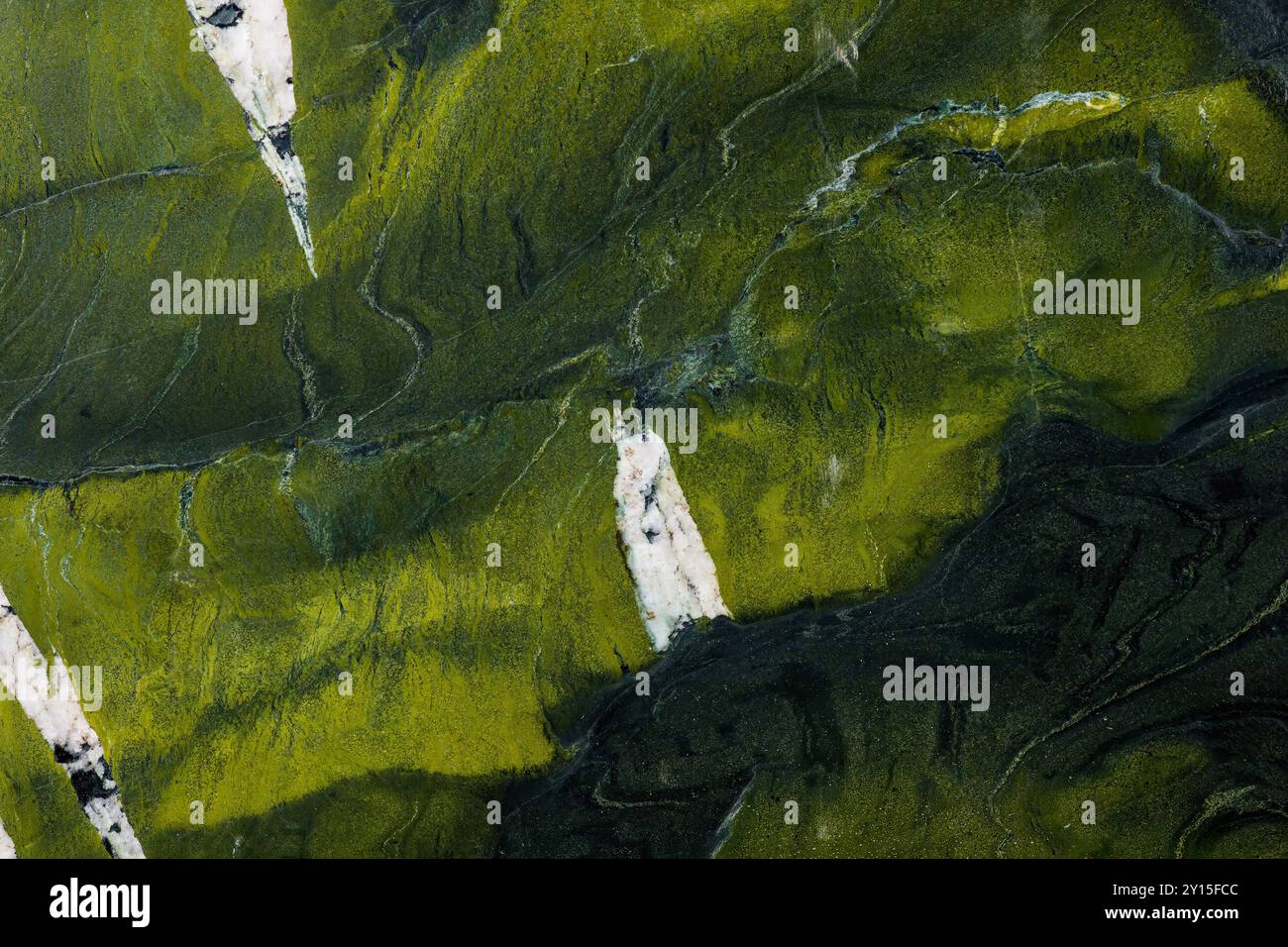 Consistenza di alta qualità in pietra onice verde con motivi naturali intricati. Foto Stock