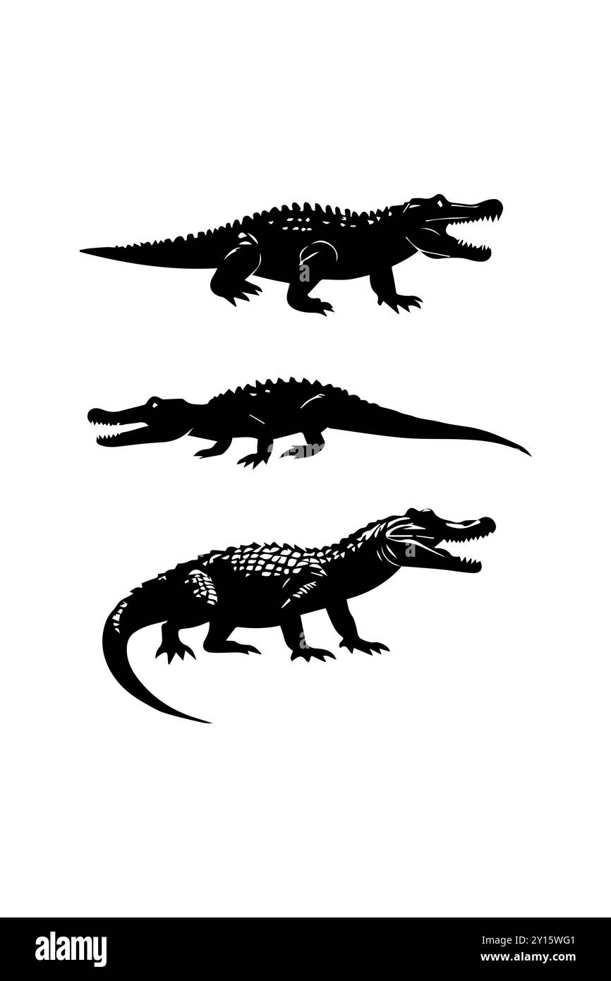 Design vettoriale con silhouette a coccodrillo isolato su sfondo bianco Crocodile, vettore alligatore, illustrazione, silhouette bianche. lucertola, rettile, Pre Illustrazione Vettoriale