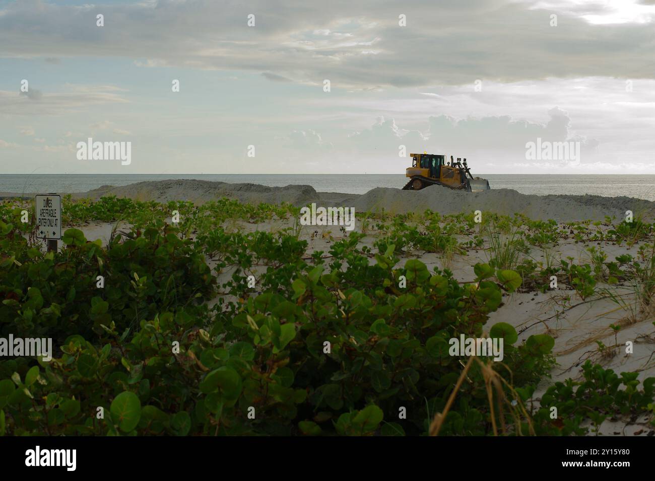 St. Pete Beach, Florida, verso il Golfo del Messico come macchine pesanti lavorano sul nutrimento delle spiagge . Vista su sabbia e avena marina. In un giorno nuvoloso in ritardo nel dopo Foto Stock