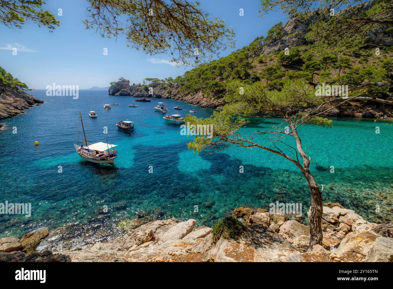 Imbarcazioni da diporto ancorate su acque turchesi, Cala Murta, Pollenca, Maiorca, Isole Baleari, Spagna. Foto Stock