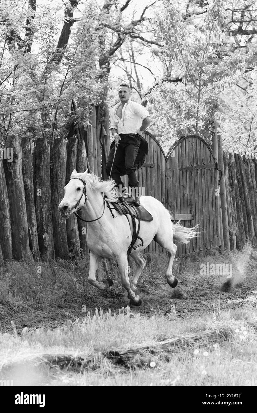 Cossacchi di Zaporozhye dell'esercito di Zaporozhye in costumi nazionali a cavallo Foto Stock