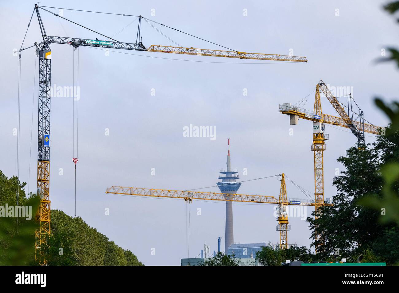 Düsseldorf 05.09.2024 Neubau Luisen-Gymnasium Luisengymnasium Völklinger Straße im Hintergrund Rheinturm Kran Baukran Baukräne Hans Warner Depenbrock Liebherr Baustelle Bauboom Wohnungen Wohnungsnot Mieten Mietpreis sozialer Wohnungsbau Immobilien Turmkran Laufmobiliatze Wohnraummangel Wohnungsmangel Wohnungsmangel Wohnungsmangel Wohnungsmangel Wohnungsmangel Wohnungsmanel Baugerüst Foto Stock