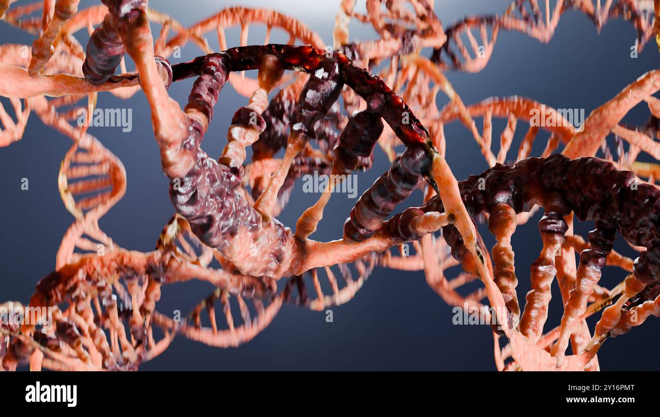 Disturbo e danno genetico del DNA, effetto mutazione o radiazione, struttura molecolare del cancro maligno, molecola di degradazione del codice genoma umano, biochimica Foto Stock