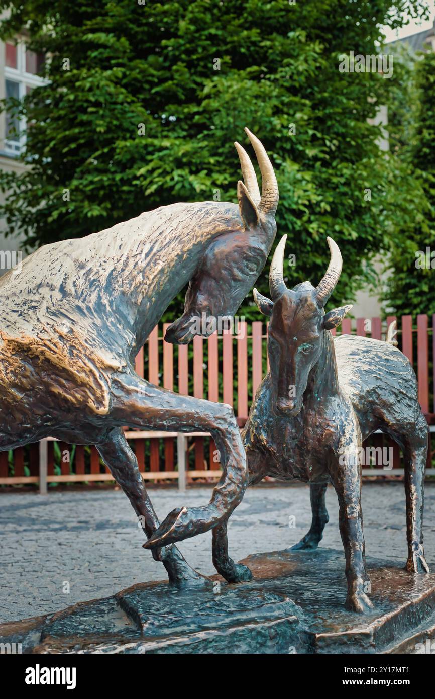 Un'immagine ravvicinata delle famose statue di capra a Poznan, in Polonia, che rappresentano una famosa leggenda locale. Le sculture in bronzo raffigurano due capre di fronte a e Foto Stock