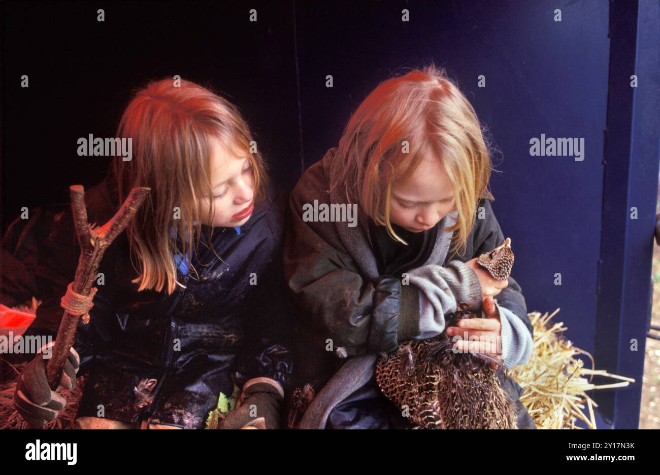 Due ragazze in "carro" che hanno portato tutti i bambini sul posto. Uno sta reggendo delicatamente un fagiano morto e lo accarezza. E' stato appena sparato. E' visibilmente turbata ed emotiva. Gioco per bambini Bird Shoot Hampshire circa anni '2005 2000 UK HOMER SYKES Foto Stock