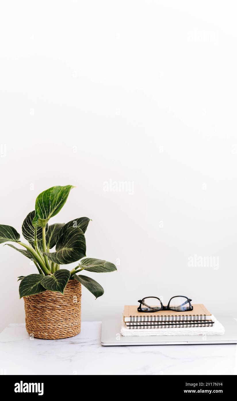 Elegante scrivania da ufficio con spazio per copie, blocchi appunti, laptop, impianto in vaso. Vista frontale Foto Stock