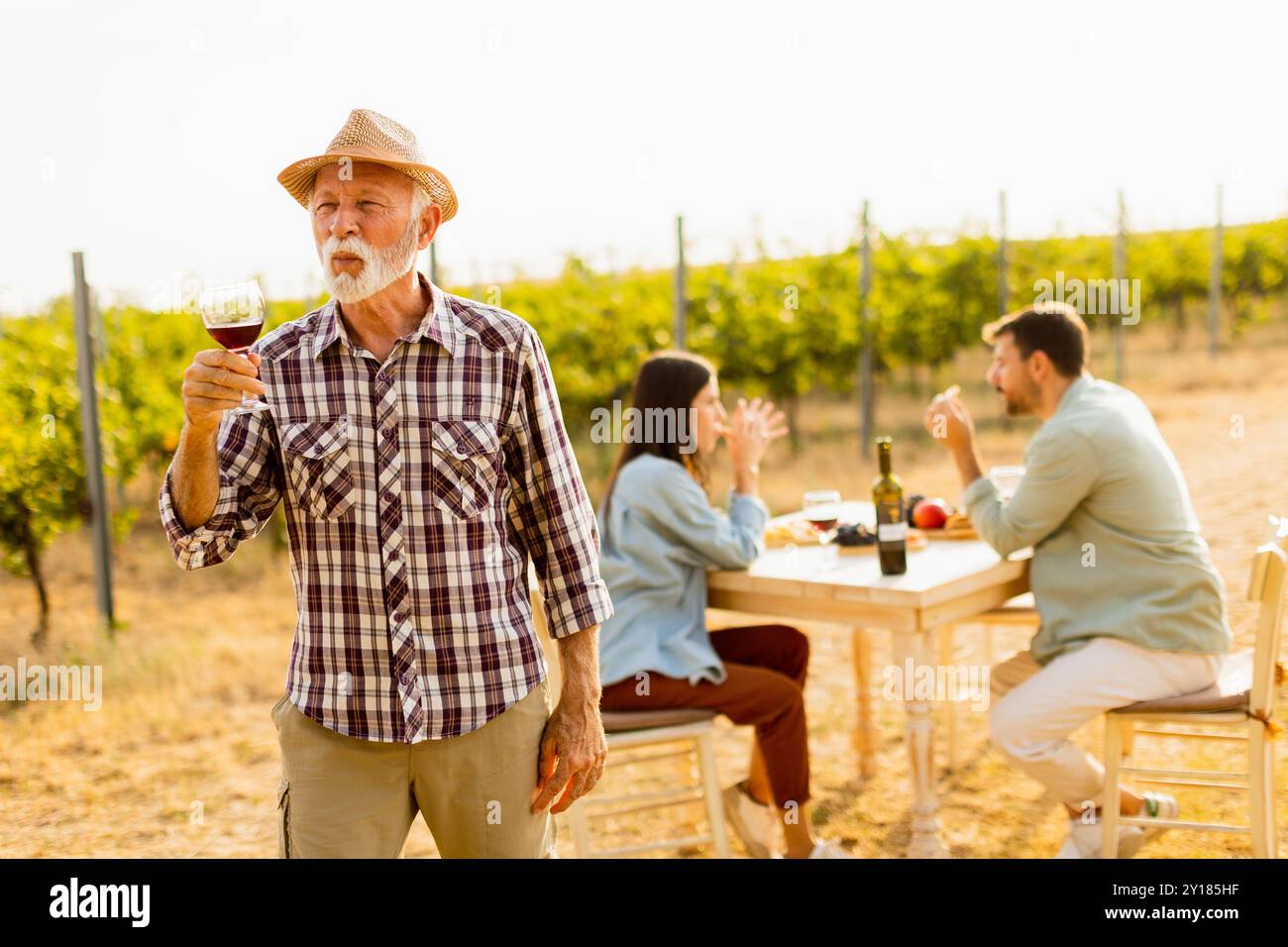 Sotto il caldo bagliore del tramonto, un gentiluomo sorridente solleva un bicchiere di vino rosso, circondato da amici che assaporano momenti deliziosi tra lussureggianti vigneti Foto Stock