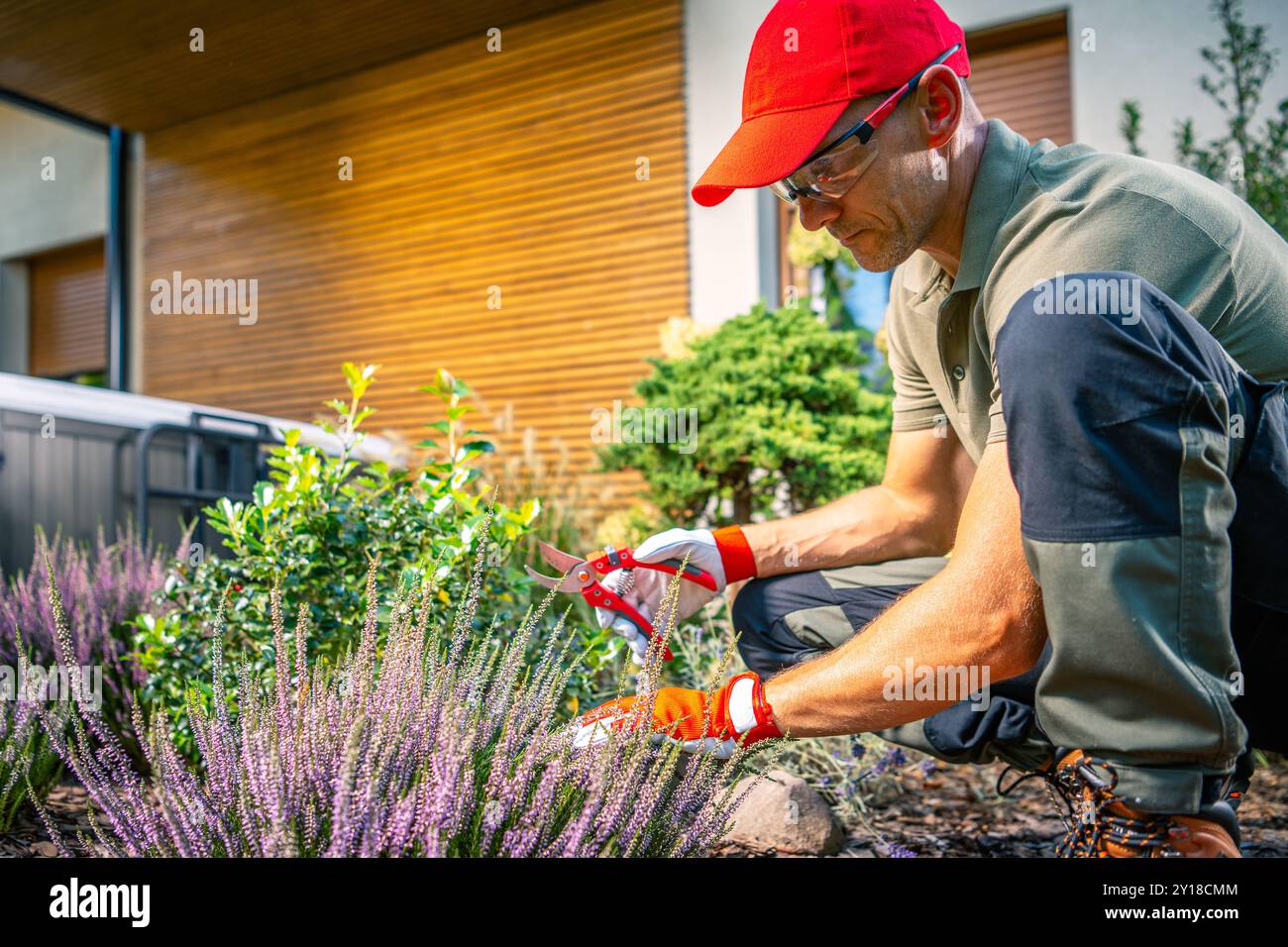 Un giardiniere rifinisce le piante di lavanda in un vivace giardino pieno di vegetazione, godendosi una giornata di sole mentre si prende cura della bellezza e della salute del paesaggio. Foto Stock