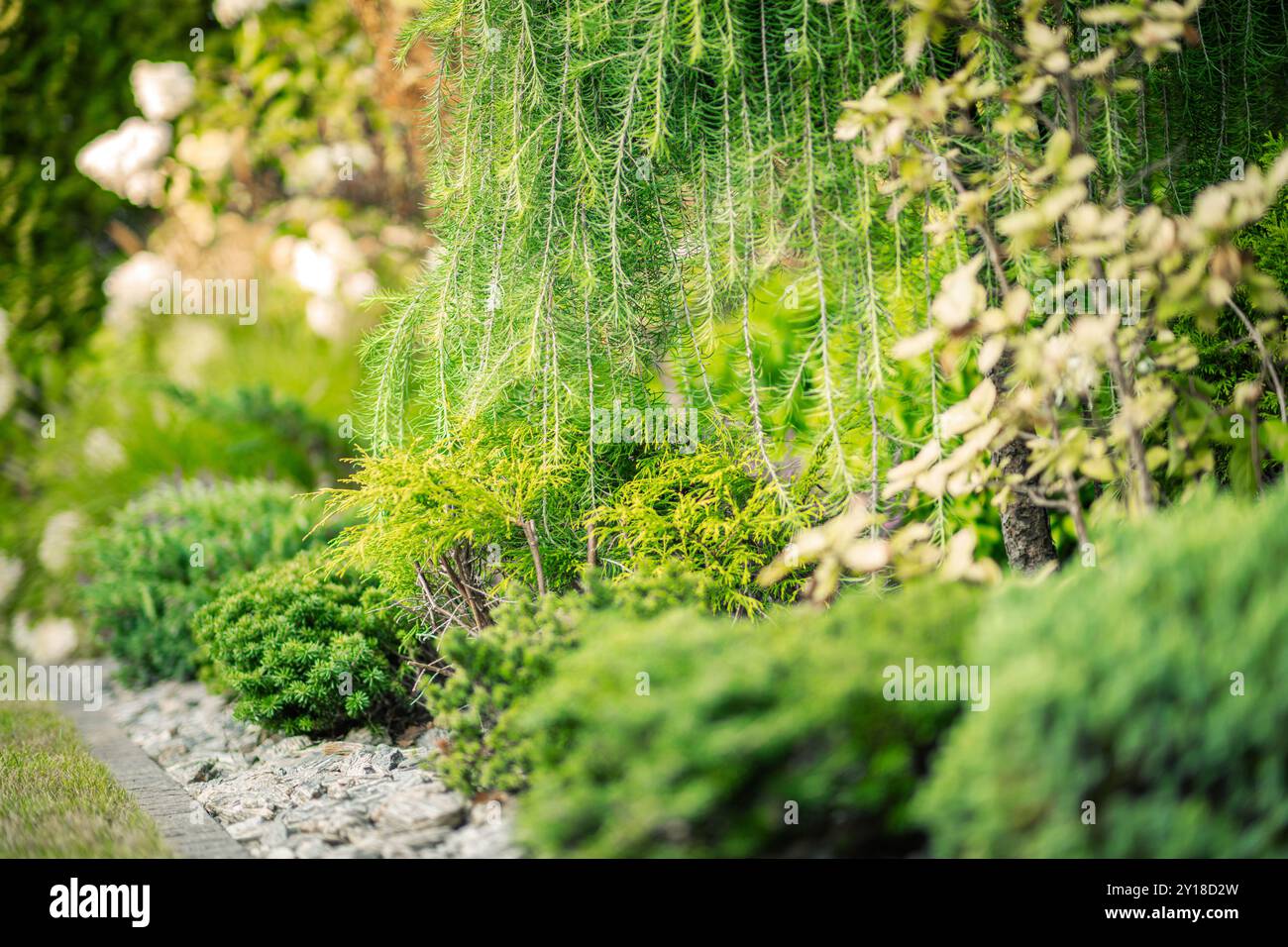 Un vivace giardino mostra una varietà di piante, tra cui conifere e arbusti ornamentali, creando un'atmosfera tranquilla all'aperto piena di vegetazione. Foto Stock