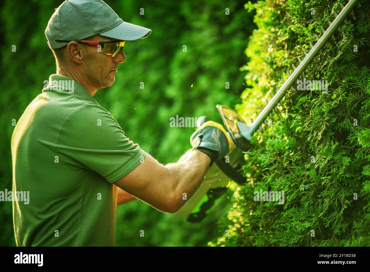 Una persona esperta si concentra sulla modellatura di siepi verdi vibranti utilizzando un rifinitore elettrico mentre si gode la calda luce del sole in un tranquillo giardino. Foto Stock