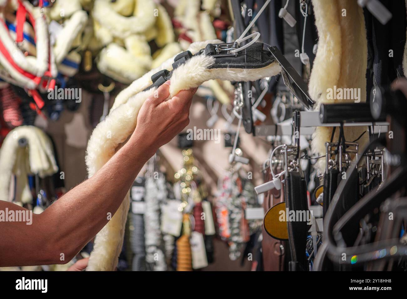 Una persona sta selezionando una soffice sella da una variegata gamma di attrezzature equestri in un vivace negozio pieno di varie attrezzature per il maneggio. Foto Stock