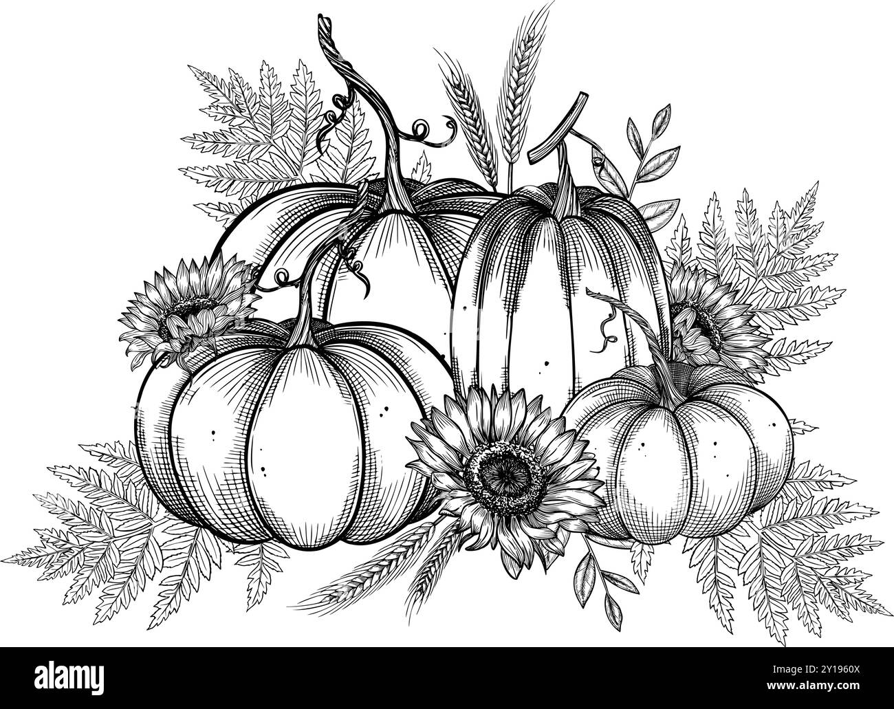Illustrazione vettoriale con zucche e Girasoli per biglietti di auguri per il festival del raccolto o inviti di nozze. Disegno nero di foglie autunnali e piante e rami caduti su sfondo isolato. Illustrazione Vettoriale