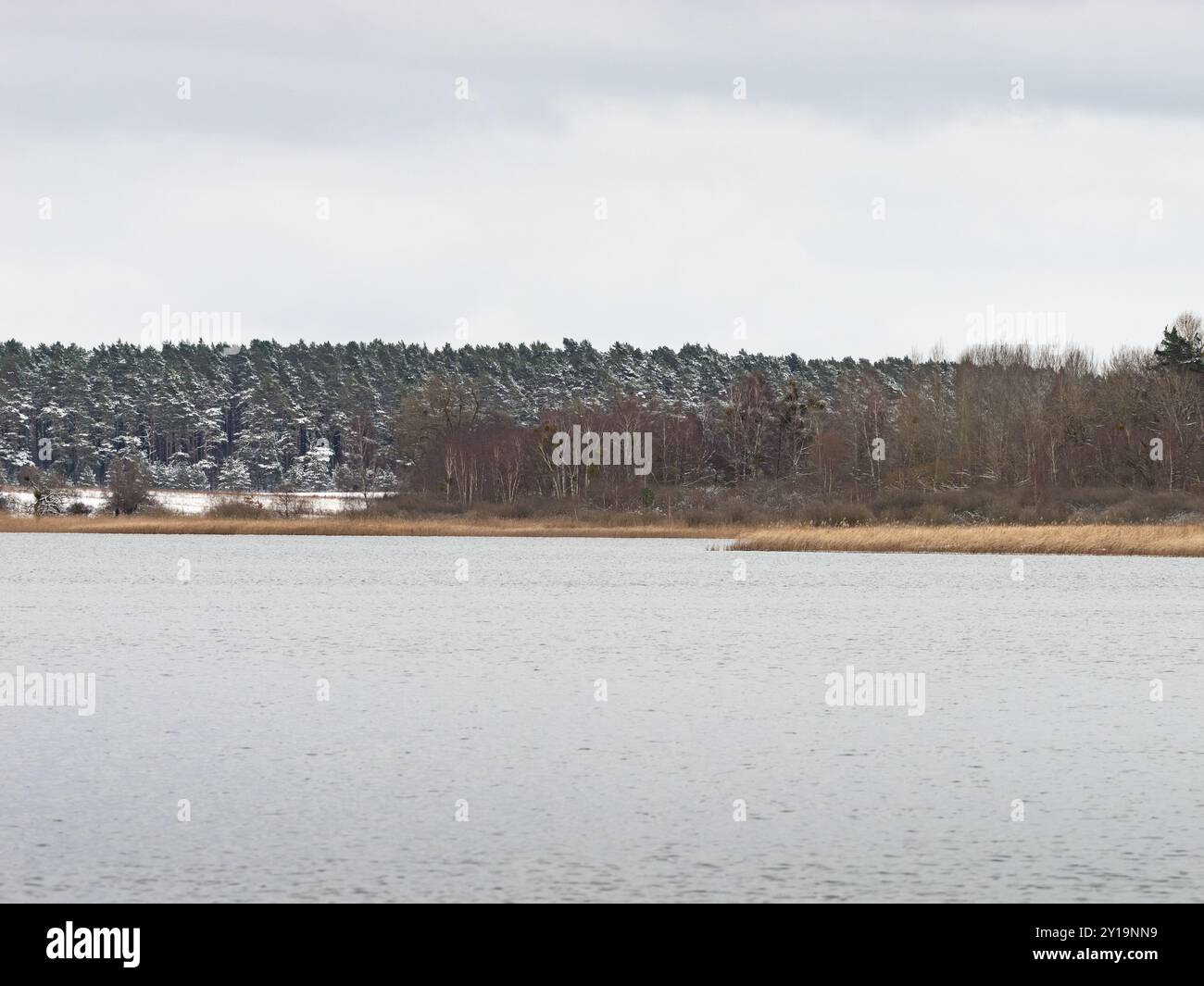 Paesaggio di un lago e di una foresta durante la stagione invernale in Germania, Europa. Temperature fredde a gennaio. L'acqua è calma e la neve è in giro. Foto Stock