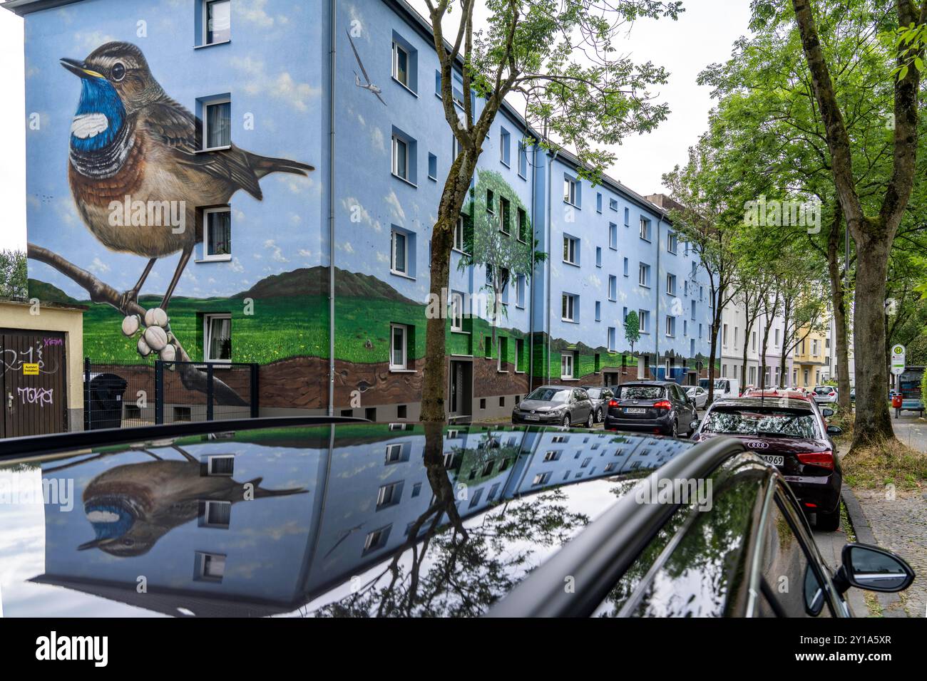 Edifici residenziali su FeldsieperStraße a Bochum, dopo una ristrutturazione efficiente dal punto di vista energetico, con isolamento della facciata, il Bochumer Wohnstätten Wohnungsge Foto Stock