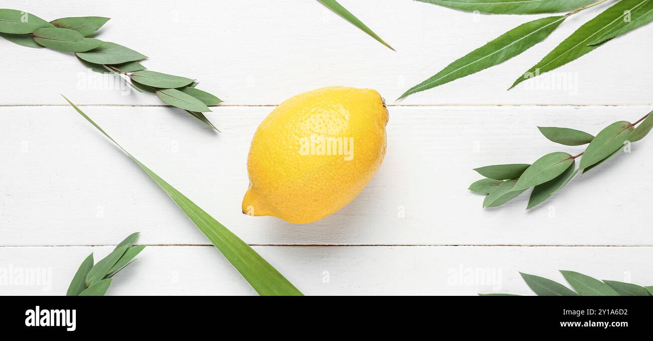 Quattro specie (lulav, hadas, arava, etrog) come simboli Sukkot su sfondo bianco di legno Foto Stock