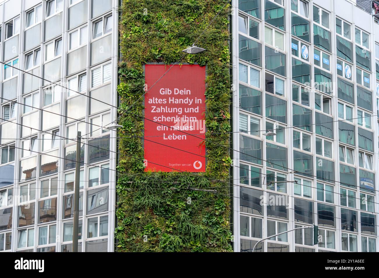 Facciata verde su un edificio, edificio per uffici Areo Treibhaus, su Graf-Adolf-Straße a Düsseldorf, giardino verticale di 100 metri quadrati, clima verde attivo Foto Stock