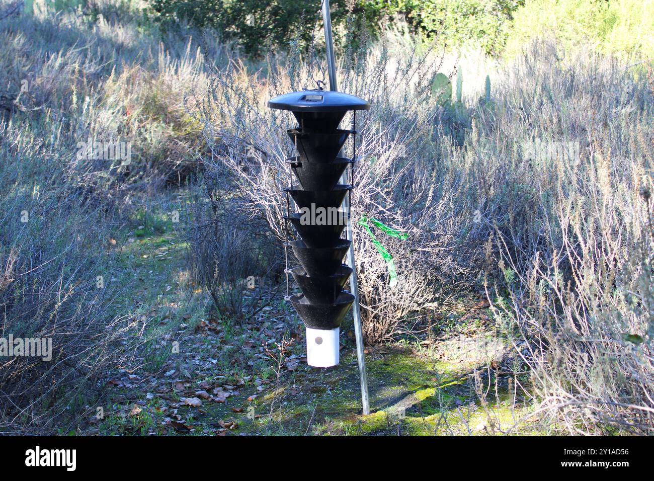 strumento da giardino nero per uccelli Foto Stock
