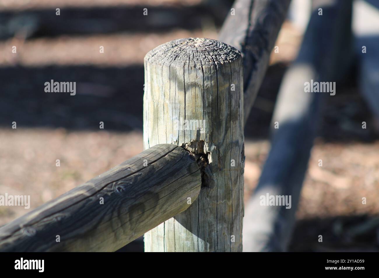 palo e cancello di recinzione in legno Foto Stock
