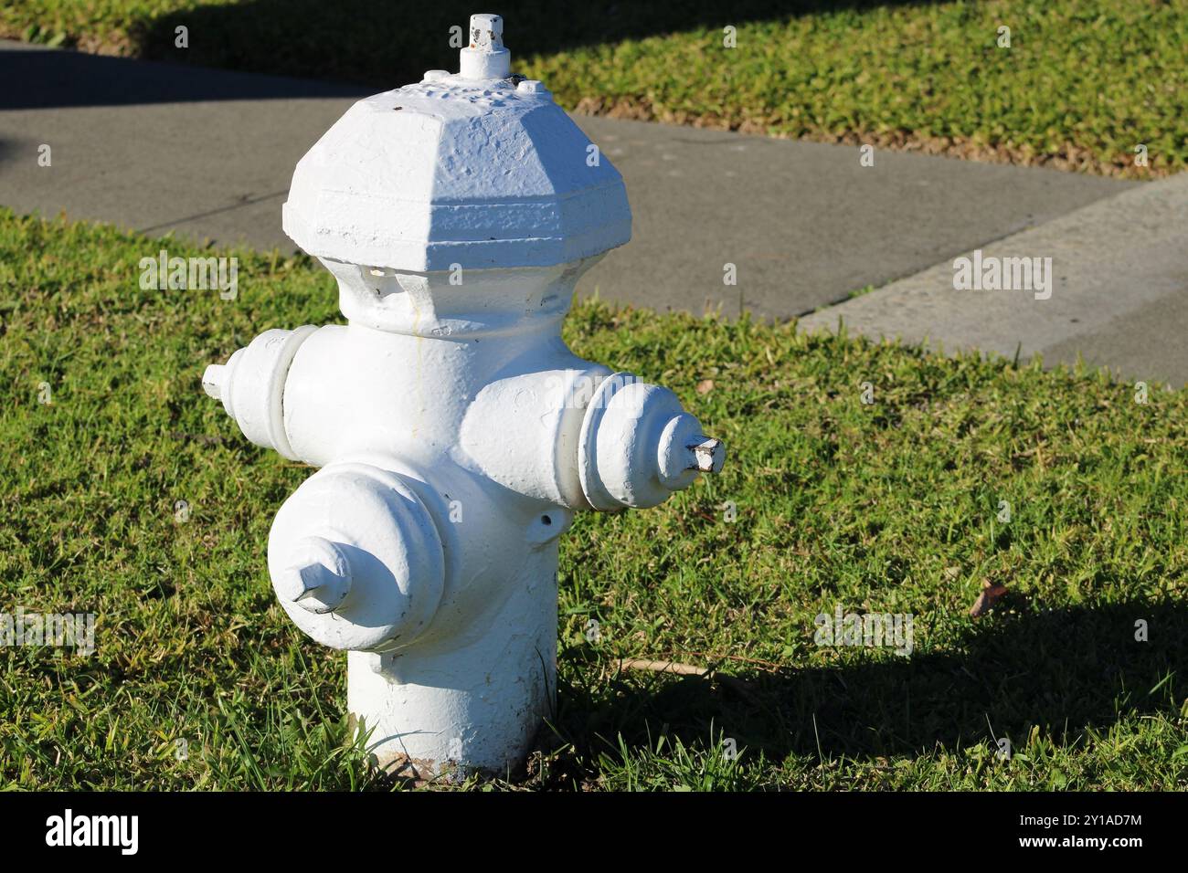idrante bianco vicino all'erba verde Foto Stock