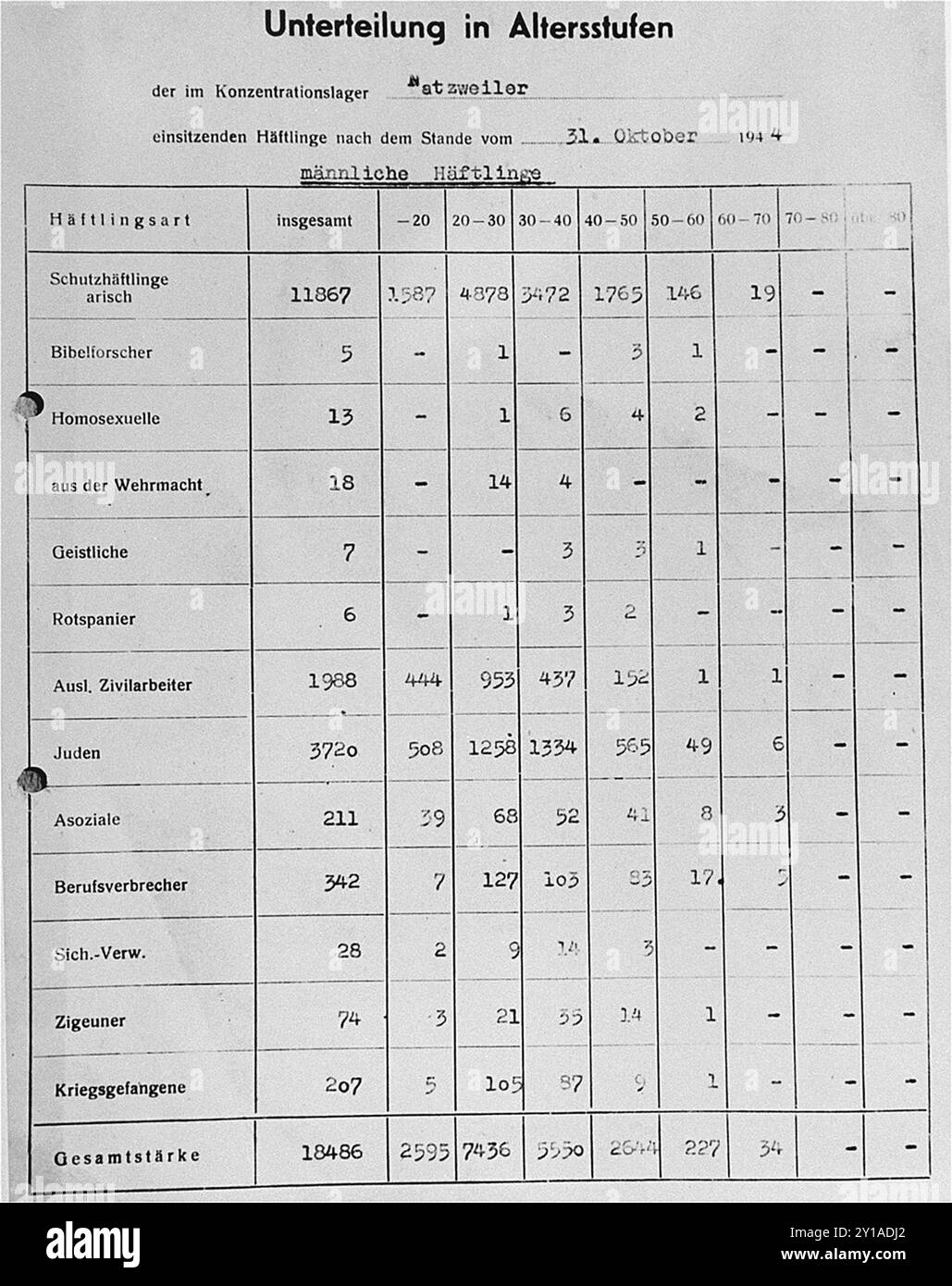 Un registro tedesco trovato a Natzweiler-Struthof che suddivide i prigionieri maschi per età e tipo: 1) ariano; 2) testimoni di Geova; 3) omosessuali; 4) soldati; 5) sacerdoti; 6) spagnoli; 7) lavoratori civili stranieri; 8) ebrei; 9) socialisti; 10) criminali; 11) anarchici; 12) Roma; 13) prigionieri di guerra. Il conteggio totale era di 18.486 prigionieri maschi. Foto Stock