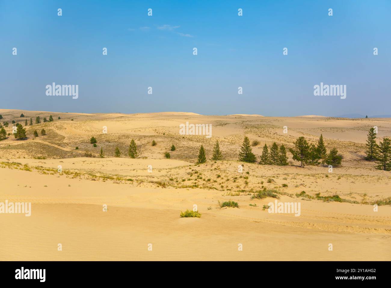 I raggi di sole si infrangono attraverso un cielo nuvoloso, illuminando le dune del deserto con tracce visibili di pneumatici, creando un paesaggio sereno e dinamico. Foto Stock