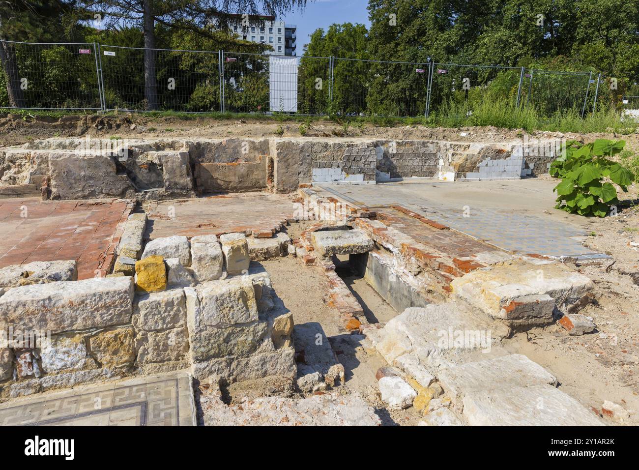 Da metà giugno, un team di 9 persone dell'Ufficio di Stato della Sassonia per l'archeologia sta indagando sulle aree accanto all'edificio Robotron demolito Foto Stock