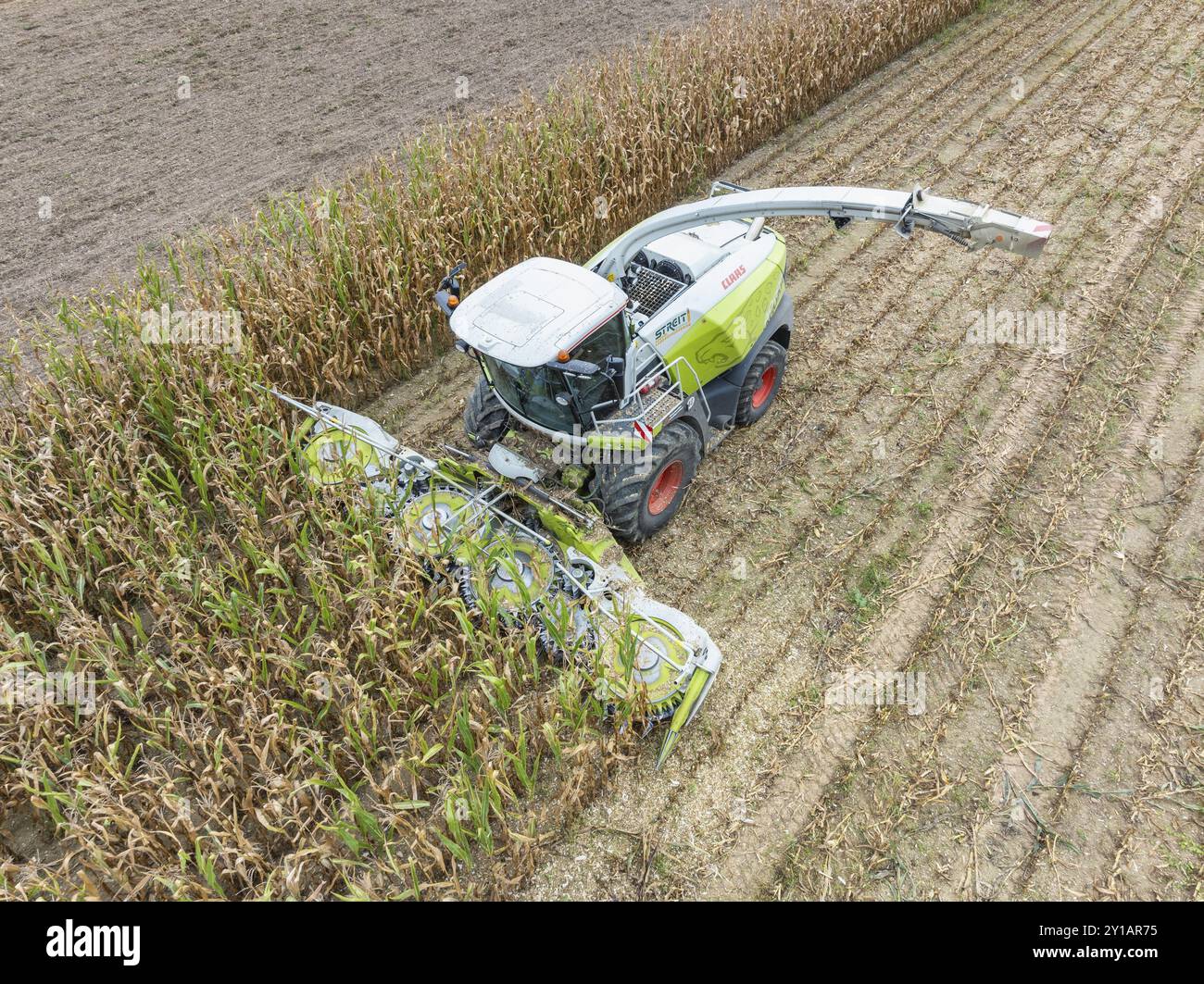 Una trebbiatrice di foraggio in un campo di mais, raccolta di mais, insilato, mais da foraggio, foraggio per vacche da latte, produzione di energia, vista aerea, distretto di Costanza, B Foto Stock