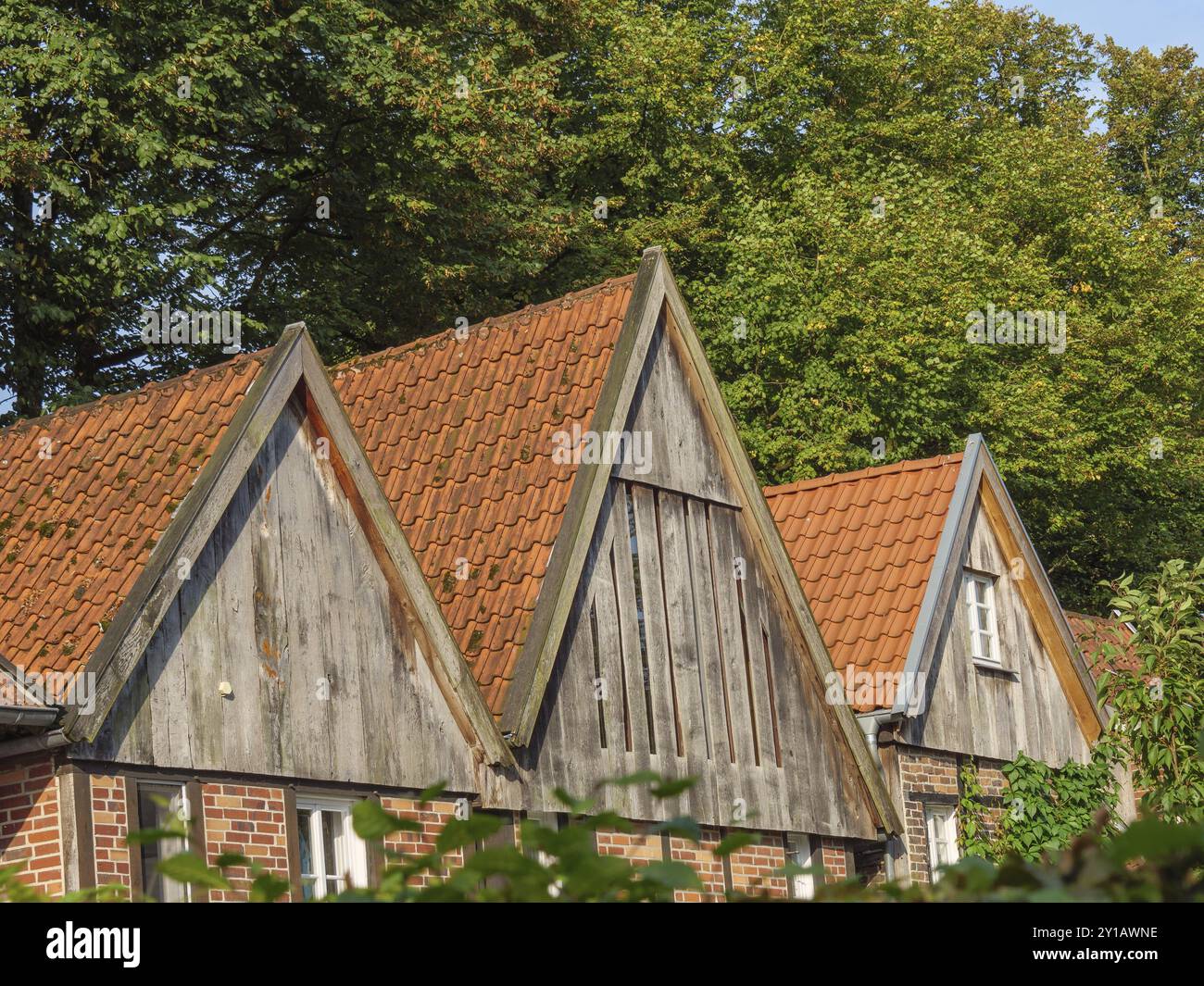 Tradizionali case in mattoni rossi con tetti spioventi e circondate da alberi verdi, Billerbeck, Muensterland, Germania, Europa Foto Stock