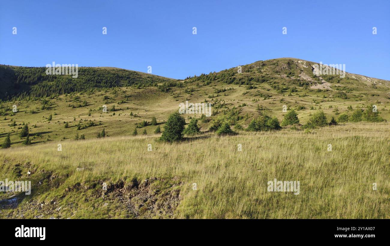 Monti Parang, Carpazi meridionali, Romania, Europa Foto Stock