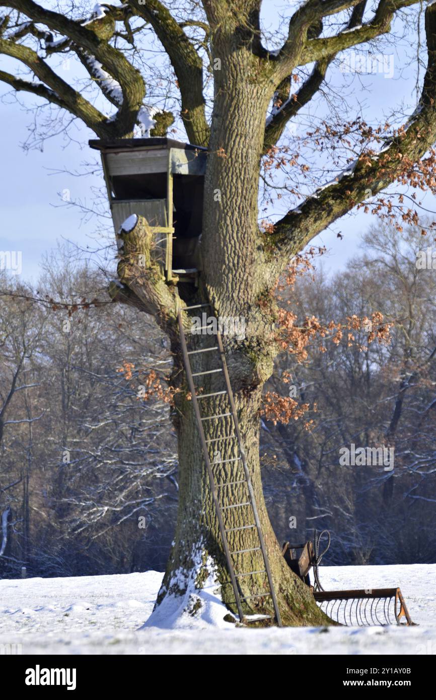 Posto alto a Duvenstedter Brook in inverno Foto Stock