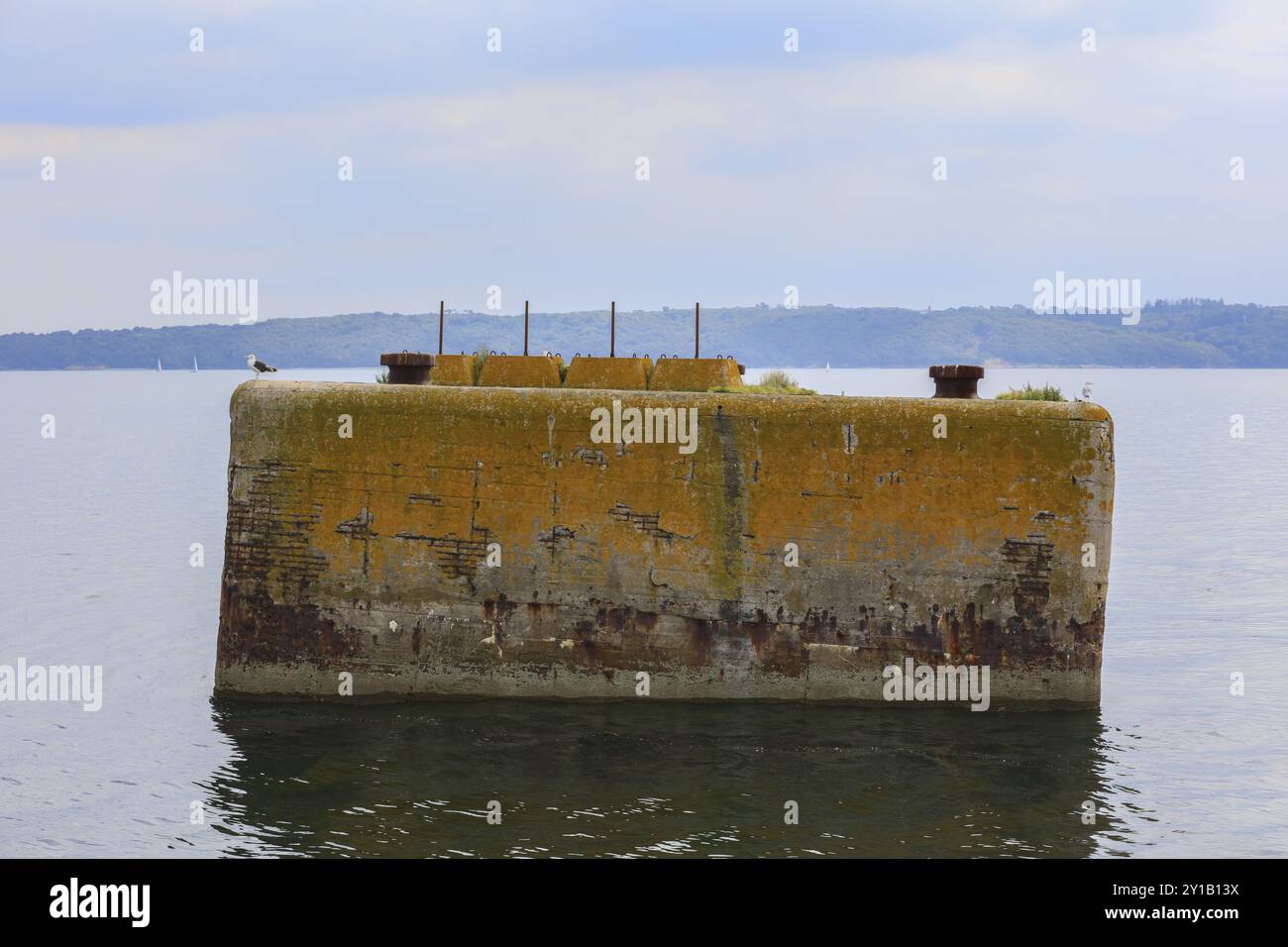 Gabbiani sul delfino costruiti dalla marina tedesca durante la seconda guerra mondiale nella baia di Rade de Brest al largo della penisola di Plougastel-Daoulas, dove si trova Foto Stock