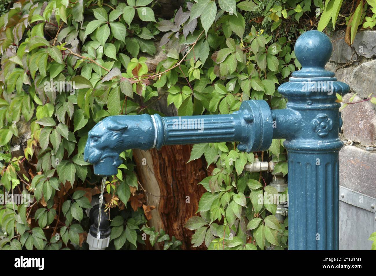 Azionati a mano la pompa acqua Foto Stock