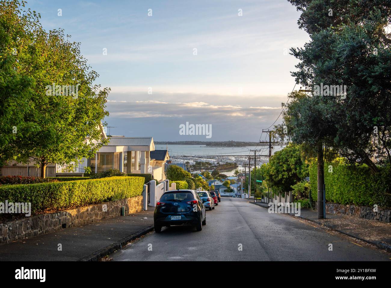 Una vista mattutina da Ponsonby, Auckland, fino a St Marys Bay e Westhaven nel porto di Auckland, nuova Zelanda Foto Stock