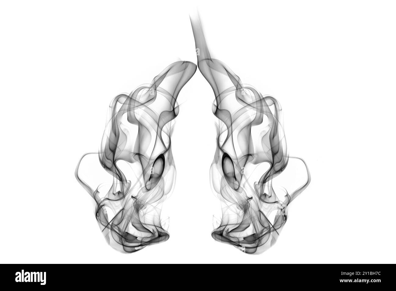 Fumo nero dinamico che forma la forma dei polmoni umani, appoggiato su uno sfondo bianco. Effetti nocivi del fumo sui polmoni. Foto Stock