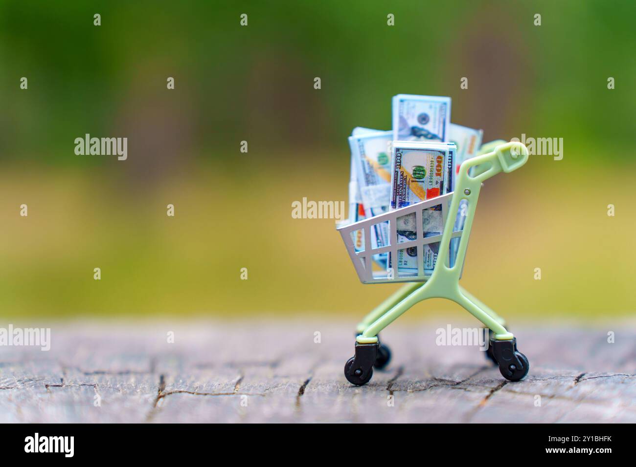 Primo piano di un carrello della spesa in miniatura con varie banconote, collocate su tronchi di legno. Green soft background evidenzia pratiche di acquisto sostenibili. Foto Stock