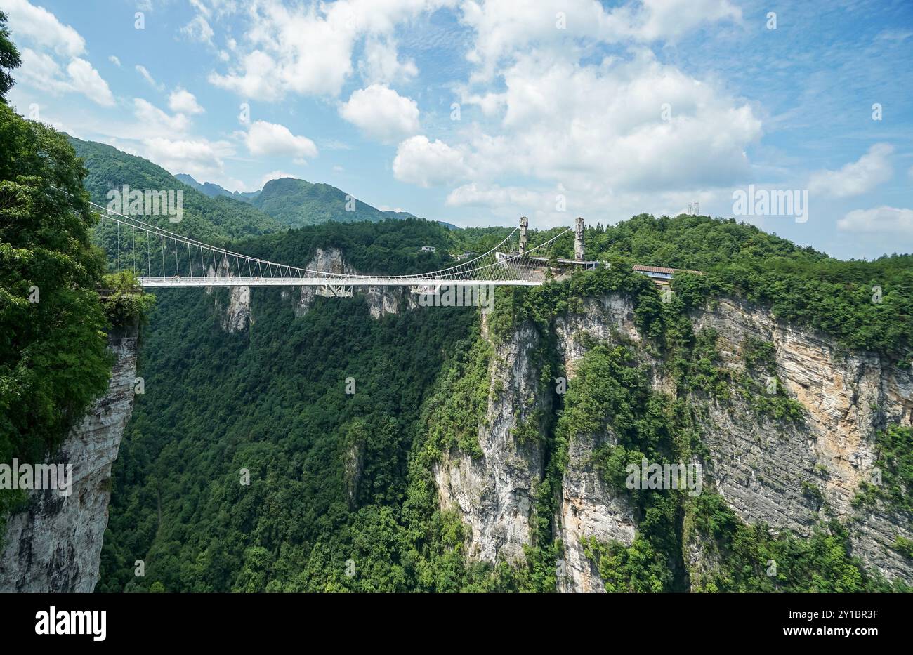 Zhangjiajie Grand Canyon Glass Bridge, il ponte con fondo in vetro più lungo e più alto del mondo. Foto Stock